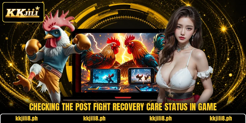 Checking the post fight recovery care status in game