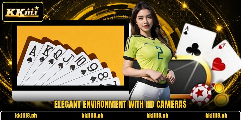 Elegant environment with hd cameras