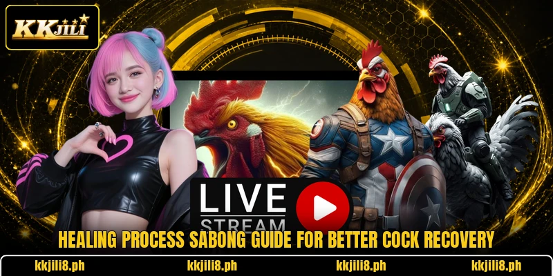 Healing Process Sabong Guide For Better Cock Recovery