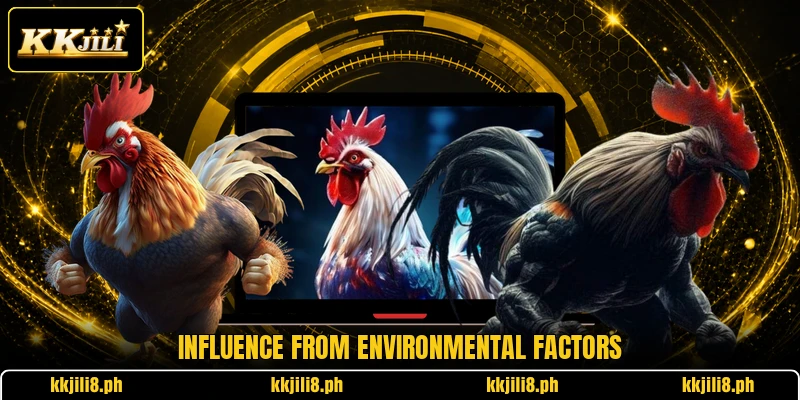 Influence from environmental factors