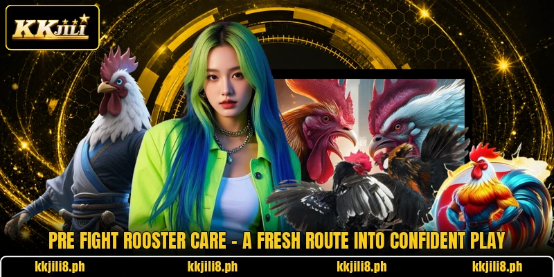 Pre Fight Rooster Care - A Fresh Route Into Confident Play