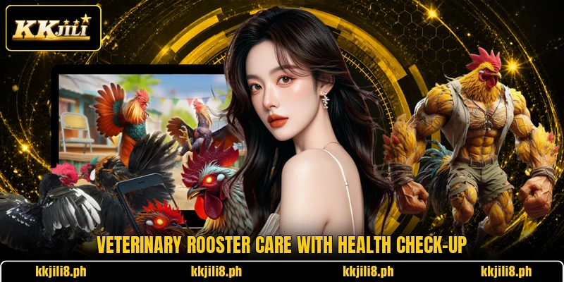 Veterinary rooster care with health check-up